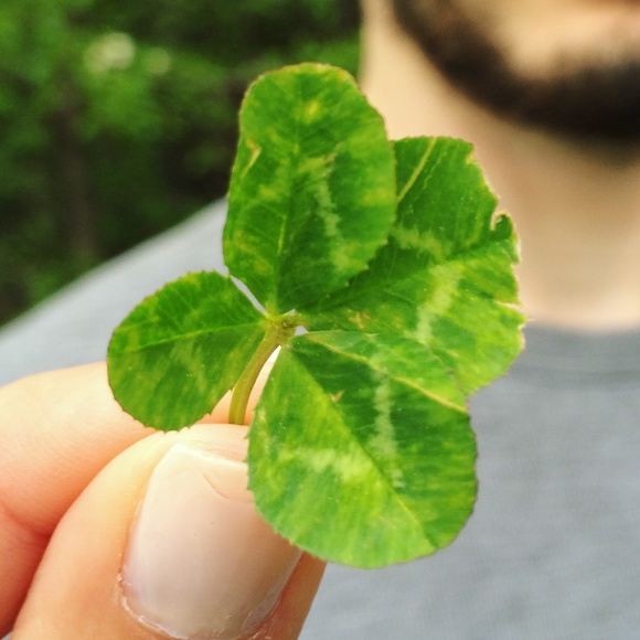 Meet your Posher, Cecilia - Picture 1 of 1